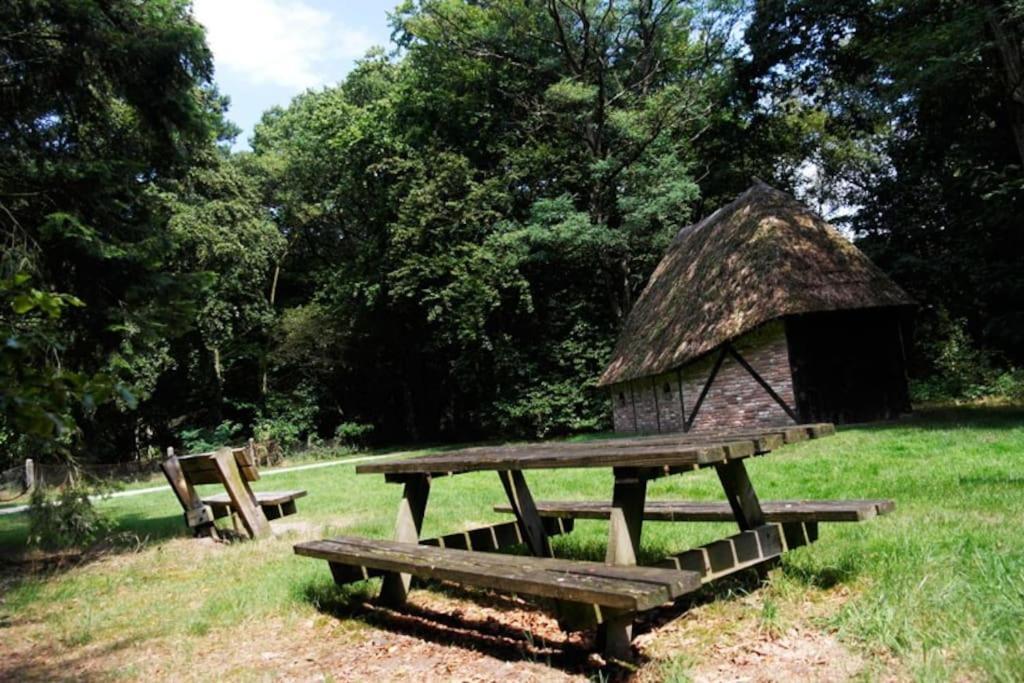 Camping De Pallegarste Chalet 119 Marienberg 外观 照片